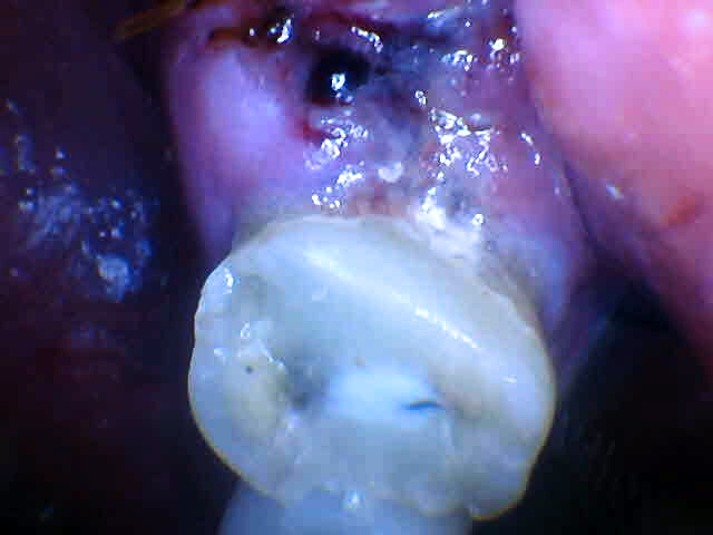 Angelyn Salaberry Kelowna Landmark Dental Centre